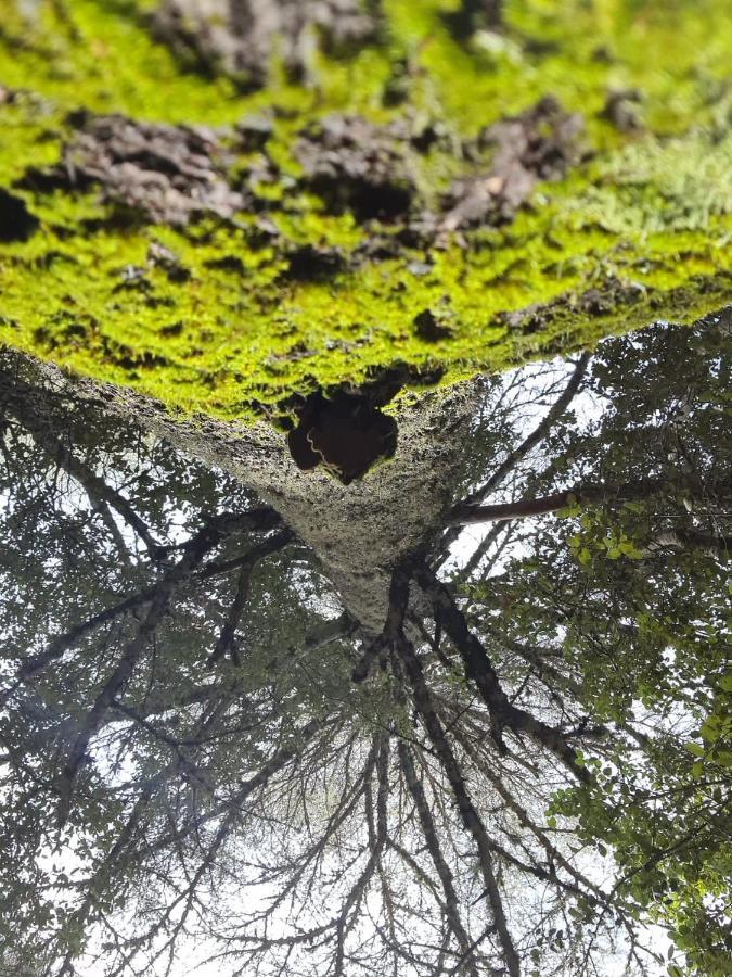 La Pommeraie D'Ifrane 外观 照片