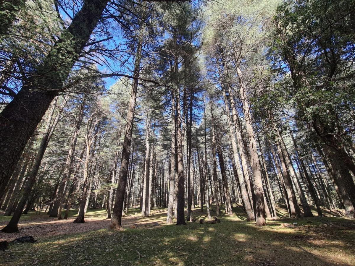 La Pommeraie D'Ifrane 外观 照片