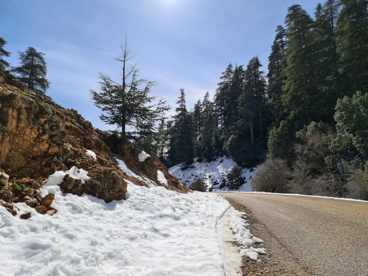 La Pommeraie D'Ifrane 外观 照片