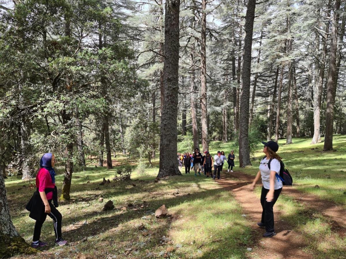 La Pommeraie D'Ifrane 外观 照片