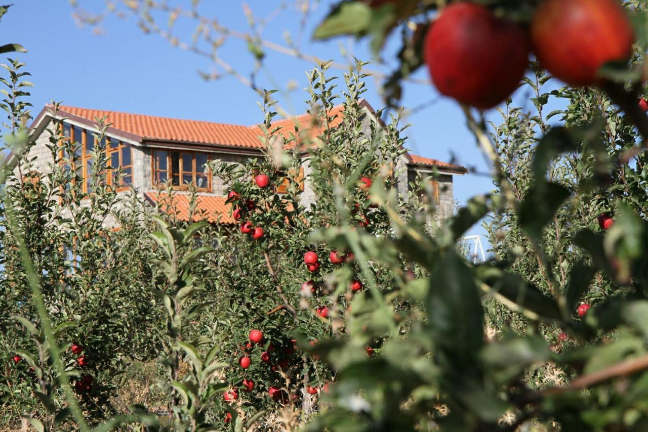 La Pommeraie D'Ifrane 外观 照片